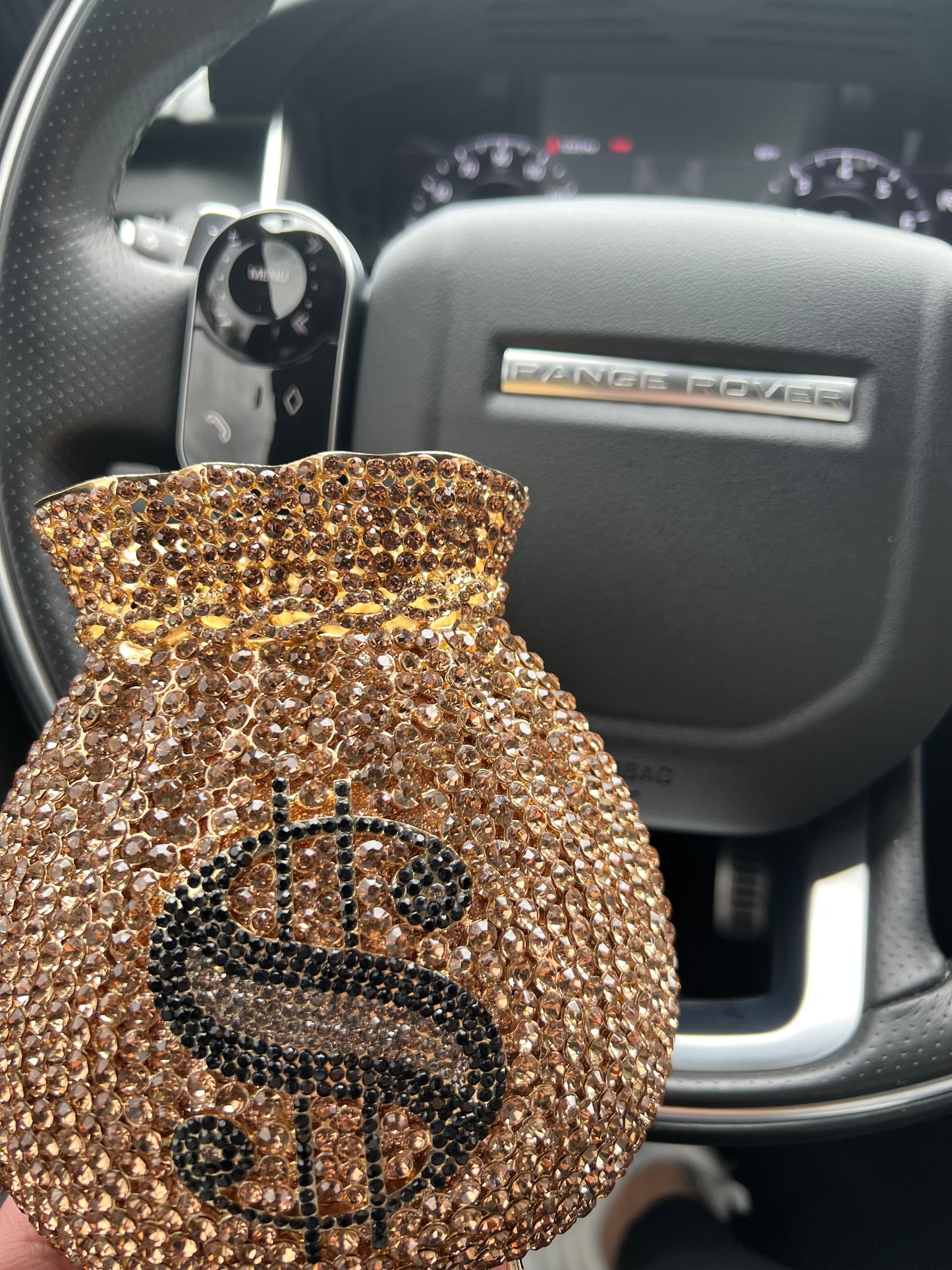Money Bag Crystal Clutch