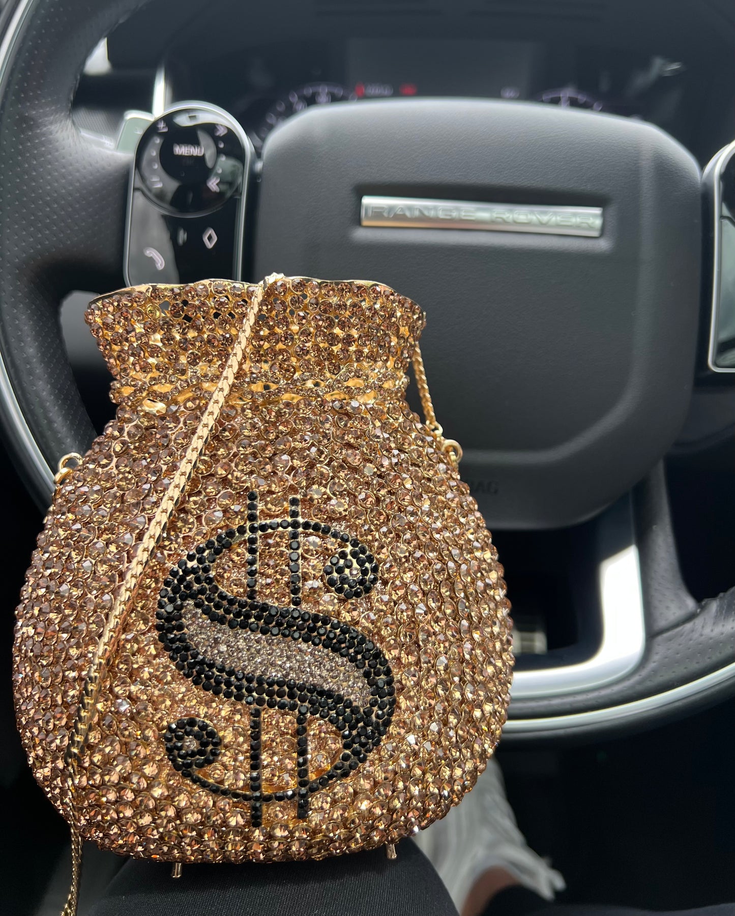 Money Bag Crystal Clutch